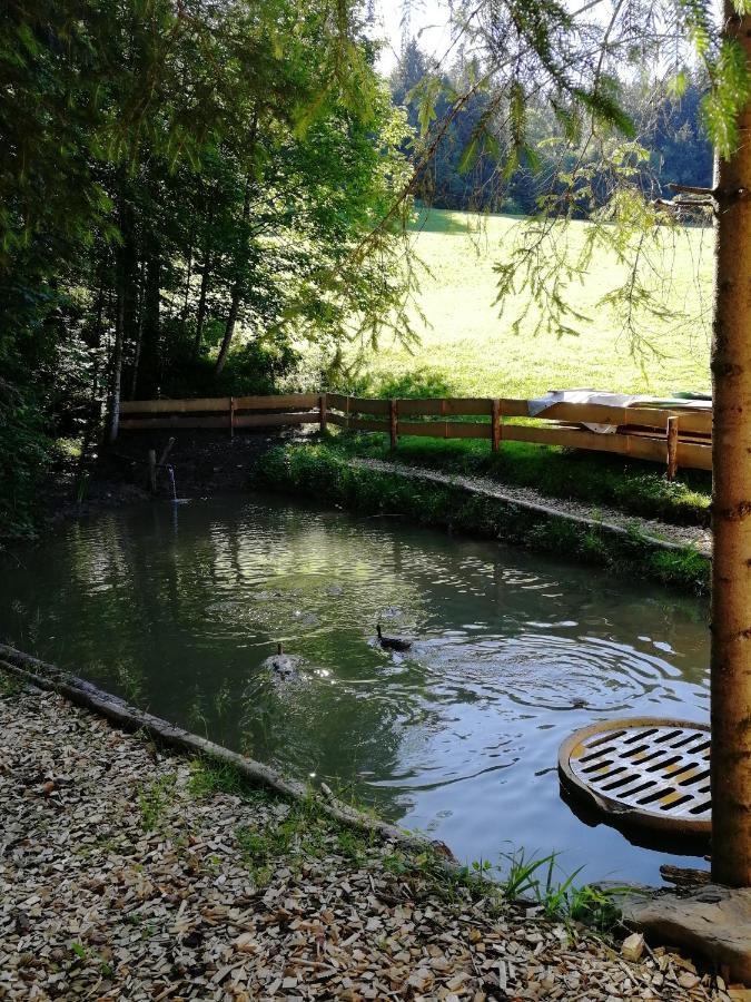 Ferienhaus Am Waldrand Von Egg Bregenzer Wald Zewnętrze zdjęcie