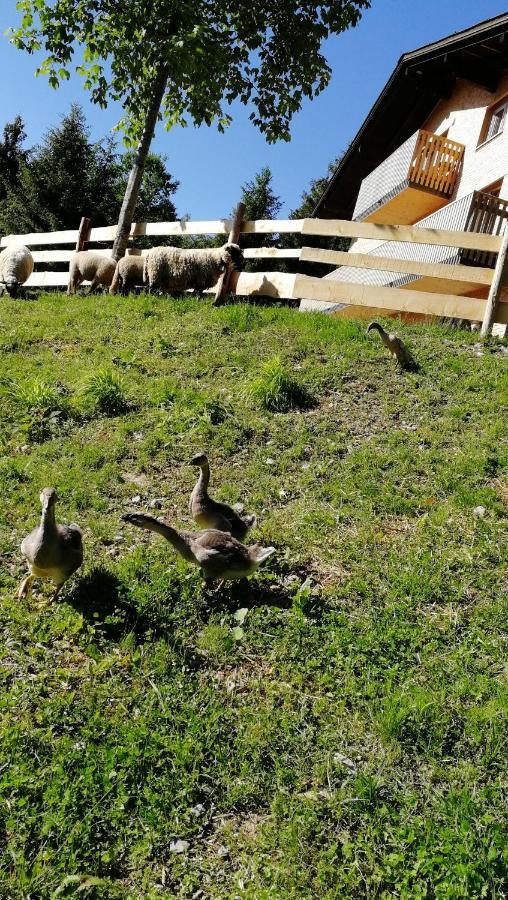 Ferienhaus Am Waldrand Von Egg Bregenzer Wald Zewnętrze zdjęcie