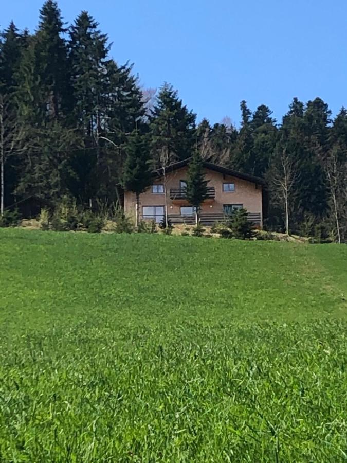 Ferienhaus Am Waldrand Von Egg Bregenzer Wald Zewnętrze zdjęcie